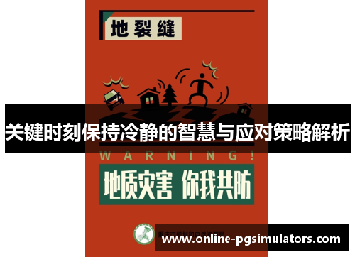 关键时刻保持冷静的智慧与应对策略解析