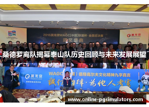 桑德罗离队揭幕泰山队历史回顾与未来发展展望