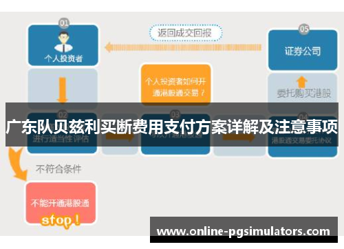 广东队贝兹利买断费用支付方案详解及注意事项