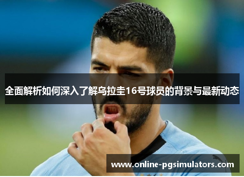 全面解析如何深入了解乌拉圭16号球员的背景与最新动态