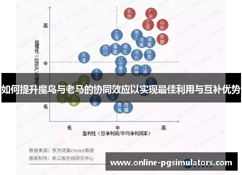如何提升魔鸟与老马的协同效应以实现最佳利用与互补优势