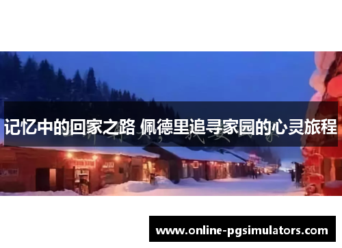 记忆中的回家之路 佩德里追寻家园的心灵旅程